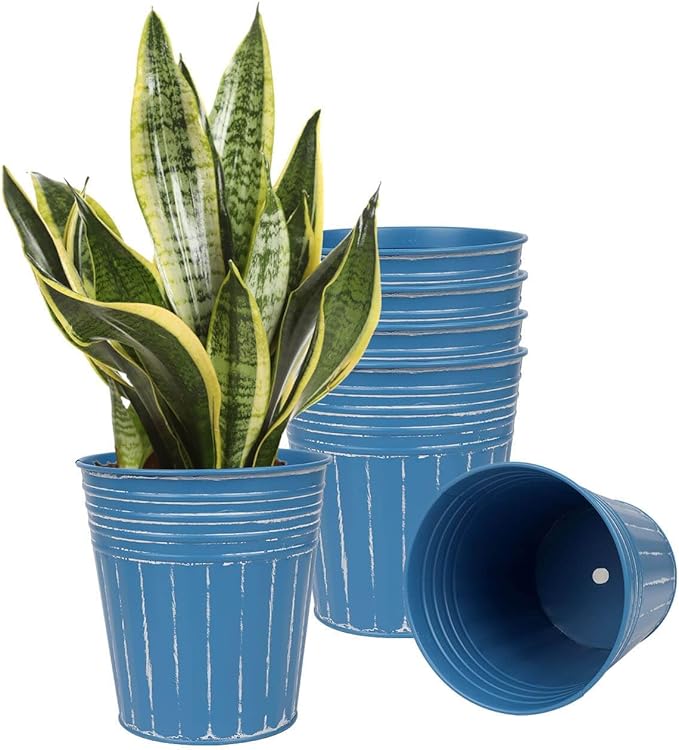 Set of blue plant pots with a green potted plant on a white background
