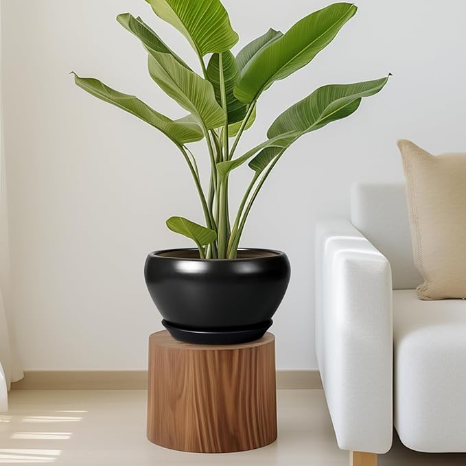 Potted plant on a wooden stool in a living room setting with a white sofa.