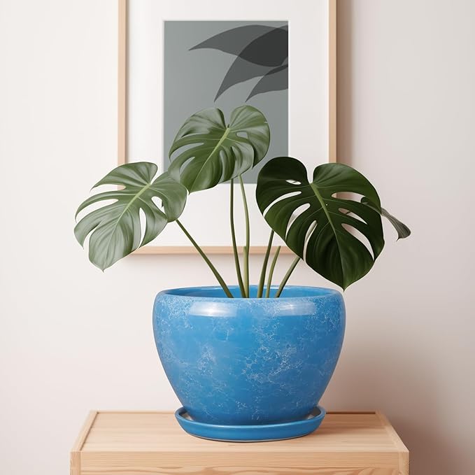 Blue pot with a green plant on a wooden surface, framed artwork in the background.