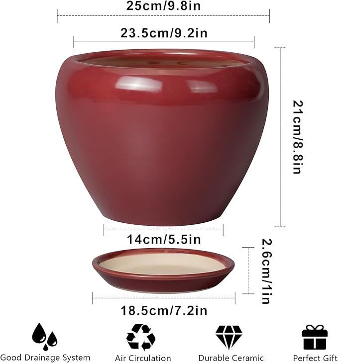Red ceramic pot with dimensions and features listed on a white background