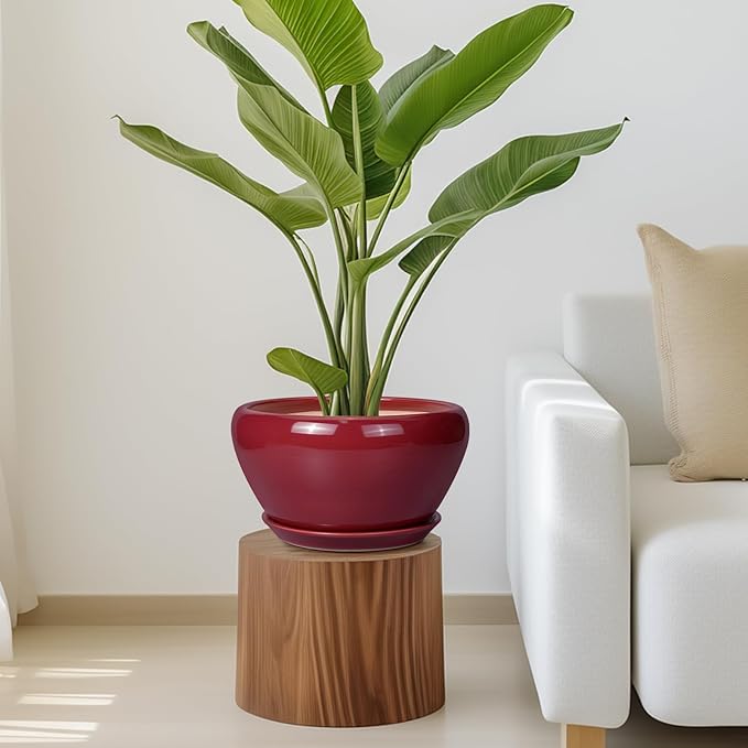 Potted plant on a wooden stool in a living room setting