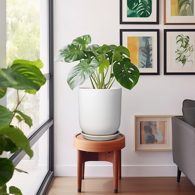 Potted plant on a small wooden stool in a room with framed artwork on the wall.