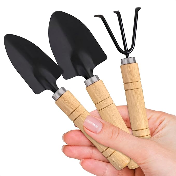 Three gardening tools with black metal heads and wooden handles held by a hand on a white background