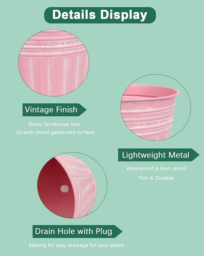 Product details display with pink containers on a green background