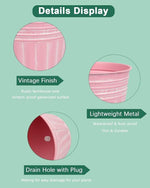 Product details display with pink containers on a green background