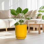 Yellow pot with green plant in a living room setting