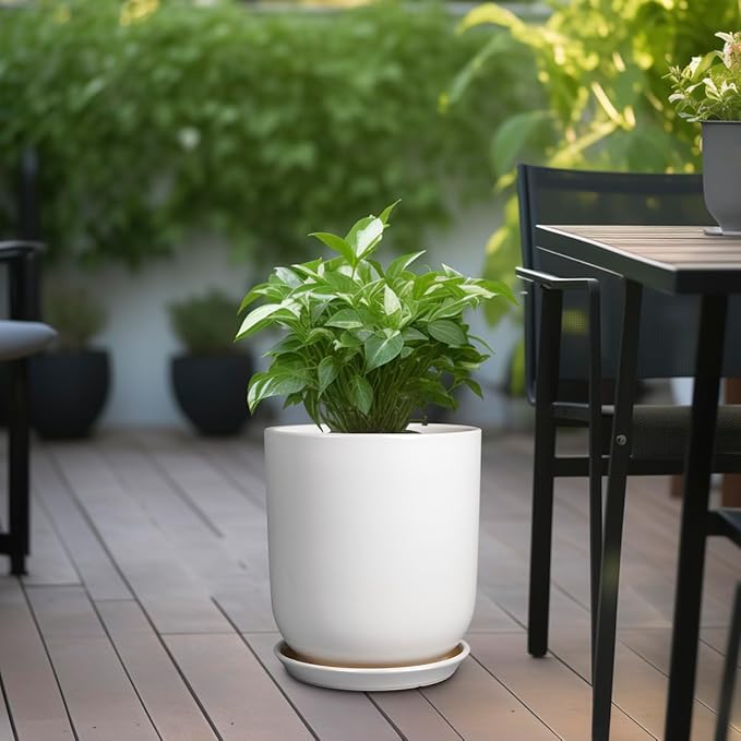 White planter with green plant on a wooden deck with outdoor furniture in the background