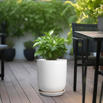 White planter with green plant on a wooden deck with outdoor furniture in the background