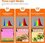 Three light modes for plant growth with corresponding modes and light spectra.