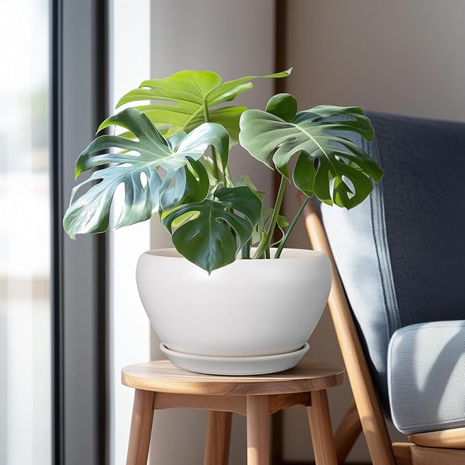 Potted plant on a small wooden stool in a room with a chair and window.