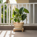 Potted plant on a wooden stand with a white railing and greenery in the background