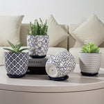 Decorative potted plants with patterned pots on a coffee table.