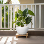 Potted plant on a wooden stand with a white railing and greenery in the background