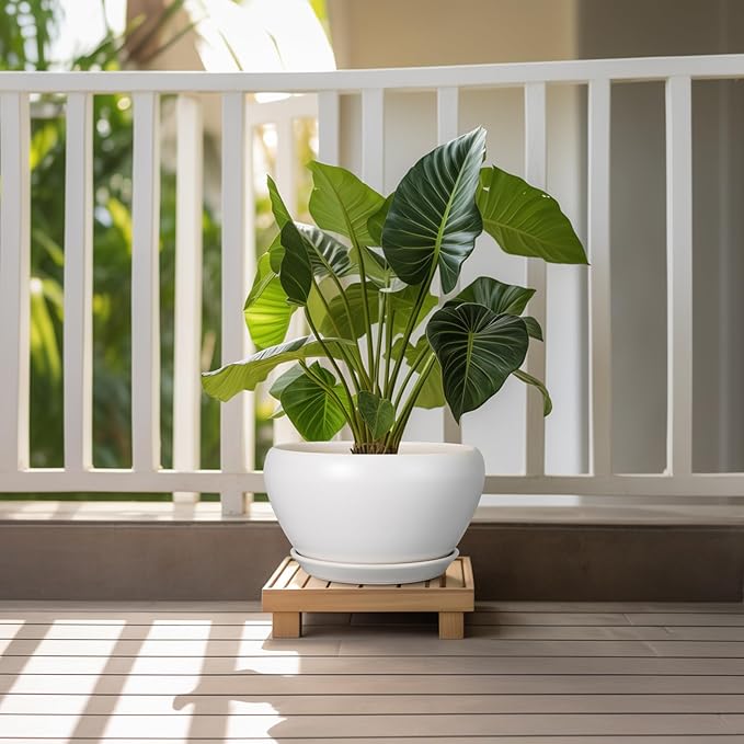 Potted plant on a wooden stand with a white railing and greenery in the background