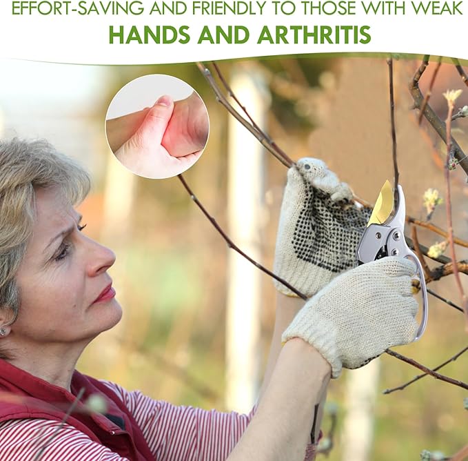 Woman pruning branches with gardening shears, wearing gloves to protect against arthritis.
