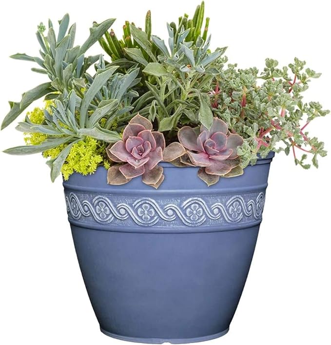 Blue decorative pot with a variety of succulents and plants on a white background