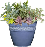 Blue decorative pot with a variety of succulents and plants on a white background