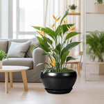 Potted plant with orange flowers in a living room setting