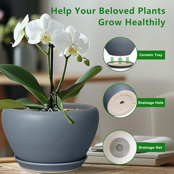 Potted plant with a ceramic tray, drainage hole, and net on a blurred indoor background.