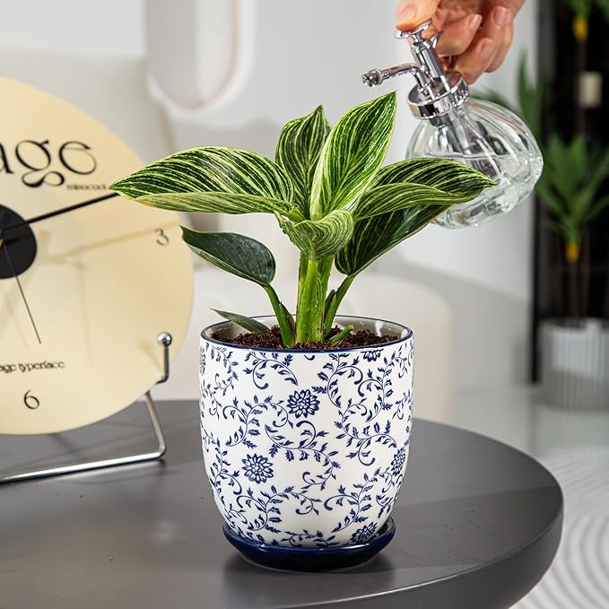 Person watering a potted plant with a decorative pot on a table.