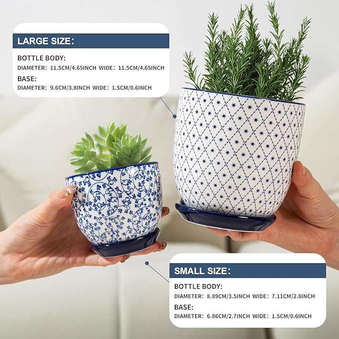 Two hands holding blue and white patterned planters with plants, showing size comparison.