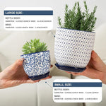Two hands holding blue and white patterned planters with plants, showing size comparison.