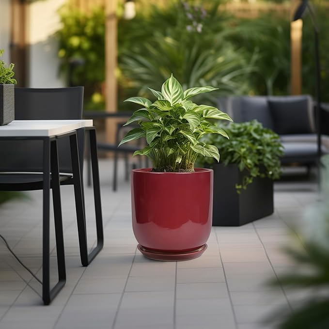 Red planter with a green plant on a patio with chairs and tables.