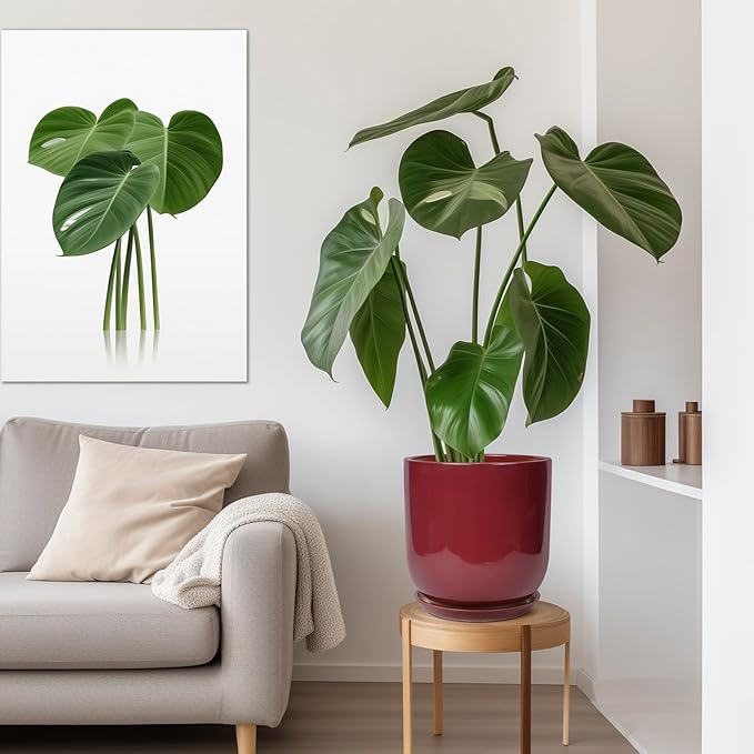 Green potted plant on a wooden stool in a living room with a gray sofa and framed plant art.