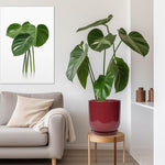 Green potted plant on a wooden stool in a living room with a gray sofa and framed plant art.