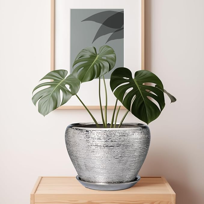 Potted plant on a wooden surface with a framed picture in the background