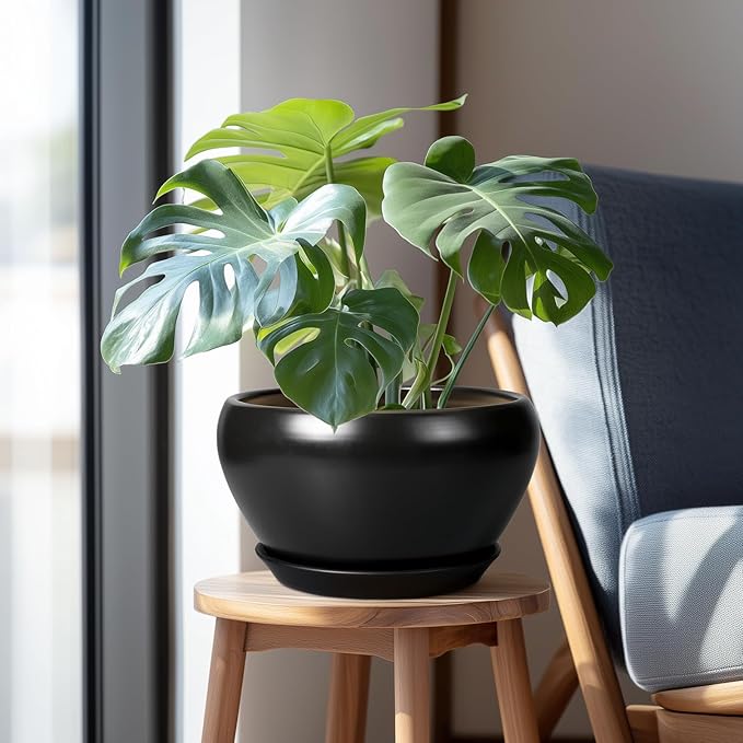 Potted plant on a small wooden stool next to a chair with a neutral background