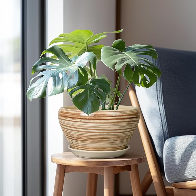 Potted plant on a small wooden stool next to a chair with a light blue cushion.