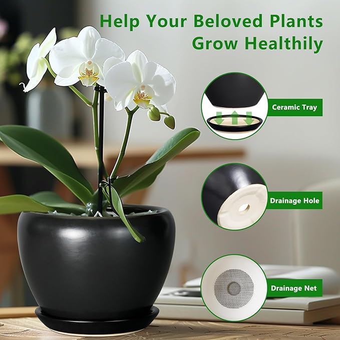 Potted orchid with a ceramic tray, drainage hole, and drainage net on a blurred indoor background.