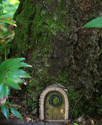 Small fairy door embedded in a tree trunk with greenery around