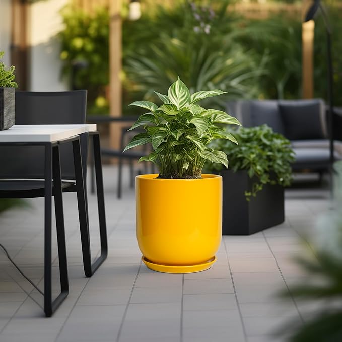 Yellow planter with green plant on a patio with outdoor furniture