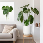 Living room with a gray sofa, potted plant, and wall art.