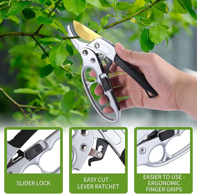 Hand holding a pair of garden pruners with close-up details on features, against a blurred green background.