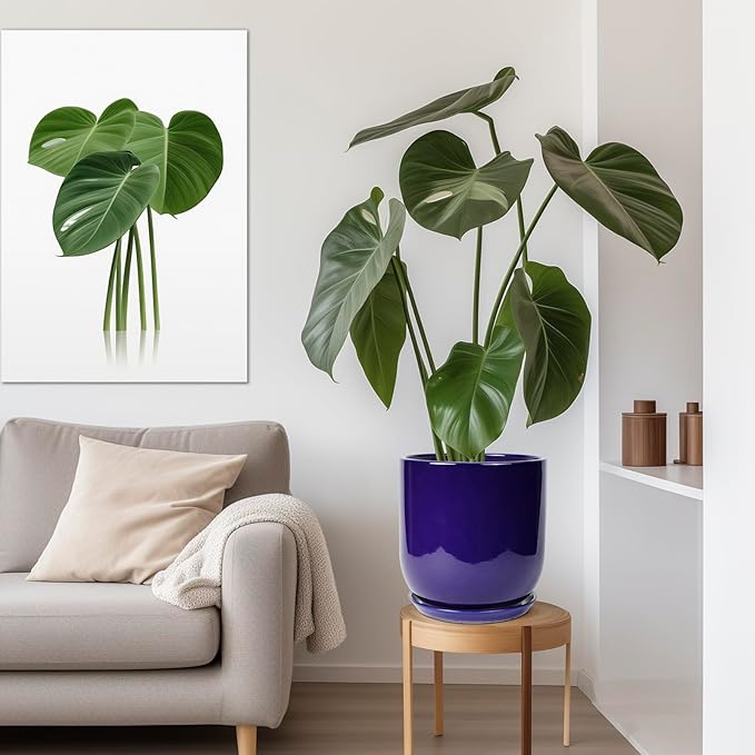 Living room with a potted plant on a small table, a gray sofa with a beige pillow, and a framed plant picture on the wall.