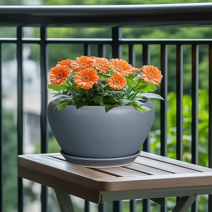 Potted plant with orange flowers on a wooden table outdoors
