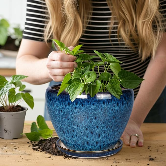 Person holding a plant over a blue textured pot on a wooden surface