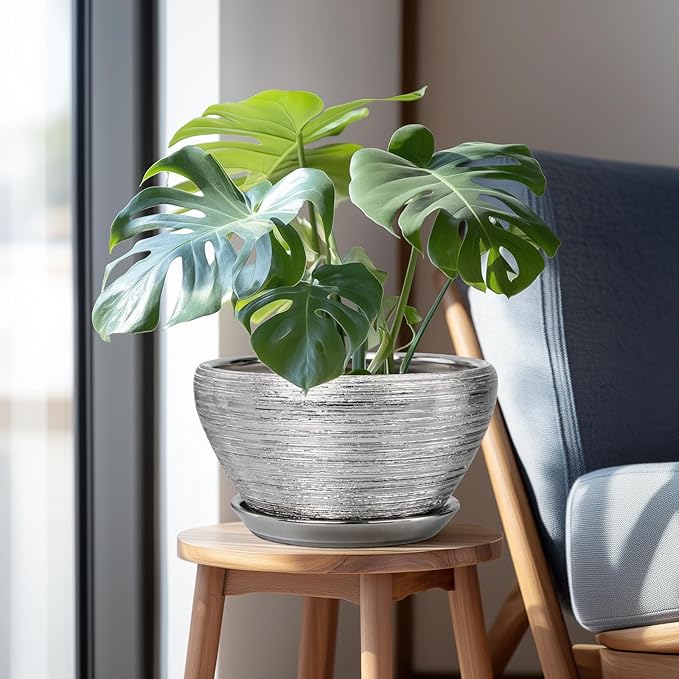 Potted plant on a small wooden stool with a chair in the background