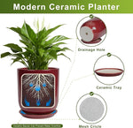 Modern ceramic planter with features highlighted on a white background