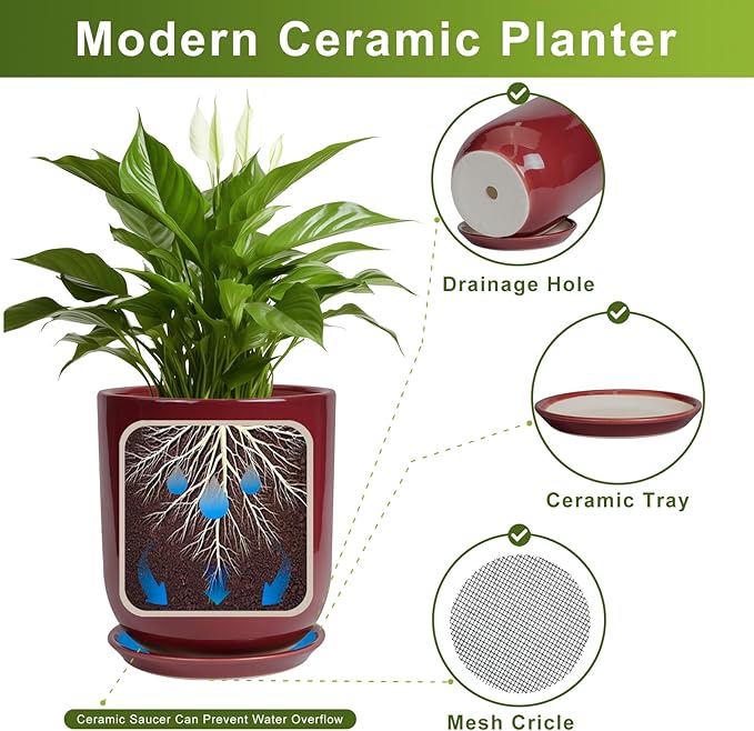 Modern ceramic planter with features highlighted on a white background