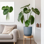 Living room with a gray sofa, potted plant, and wall art.