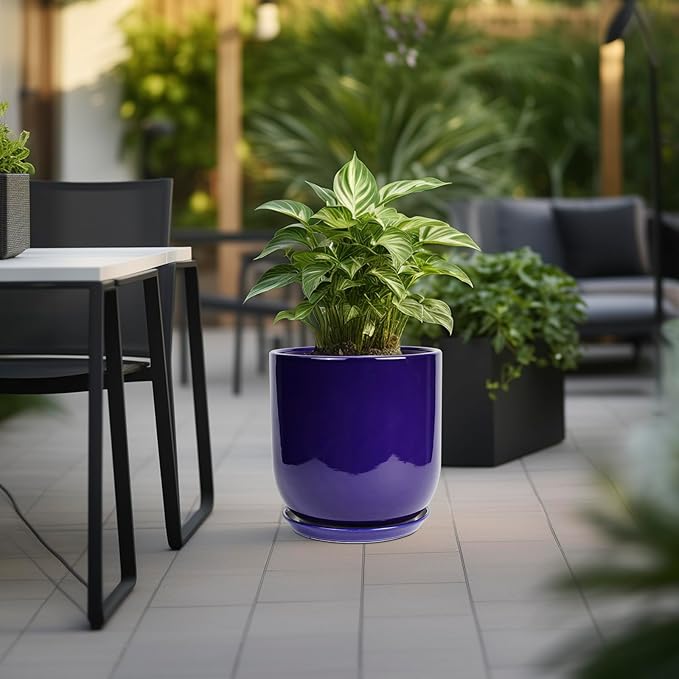 Purple planter with green plant on a patio with outdoor furniture
