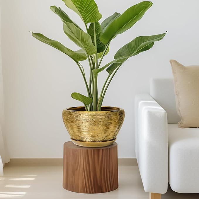 Potted plant on a wooden side table next to a white sofa