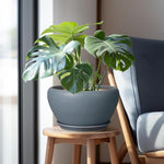 Potted plant on a small wooden stool next to a chair with a gray cushion.