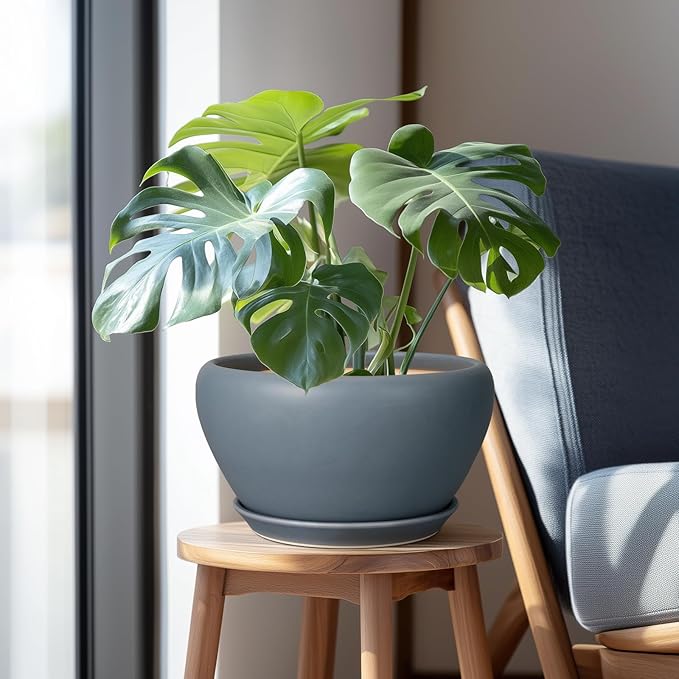 Potted plant on a small wooden stool next to a chair with a gray cushion.