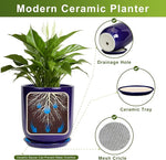 Modern ceramic planter with features highlighted on a white background