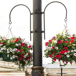 Floral hanging baskets attached to a lamp post with a light background